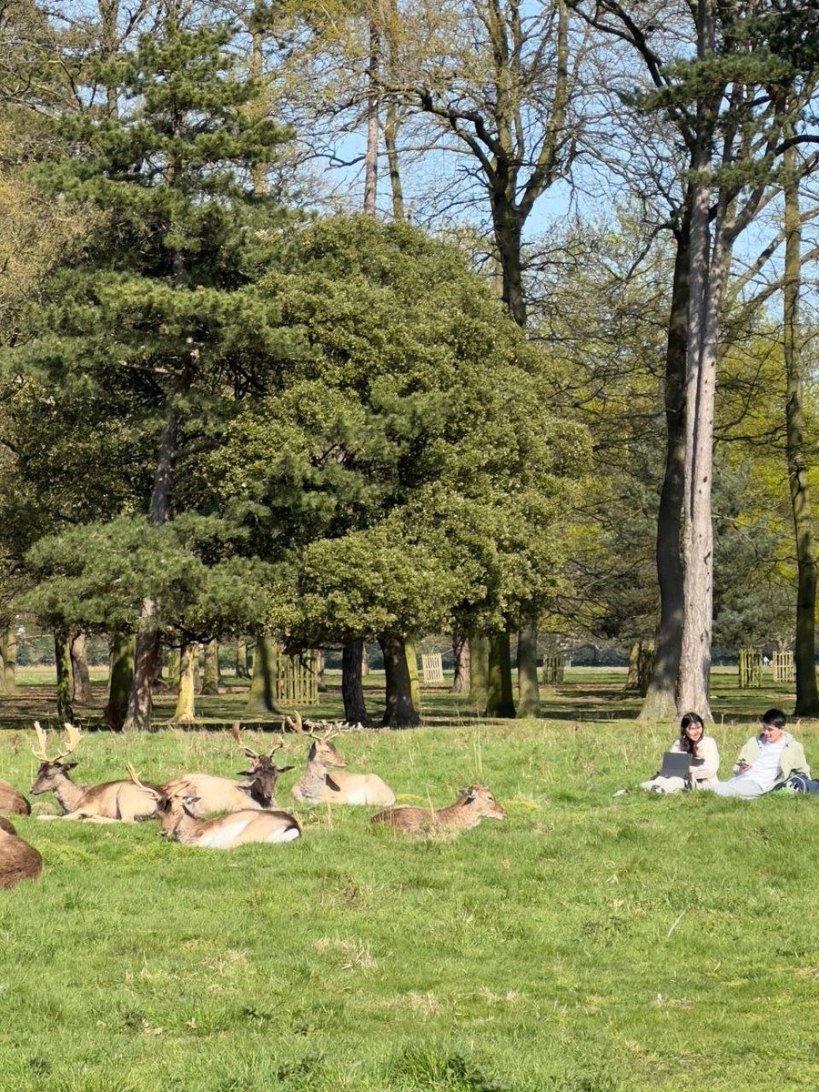 Man and nature live in harmony. It's a beautiful scene. It's a passer-by, not me
