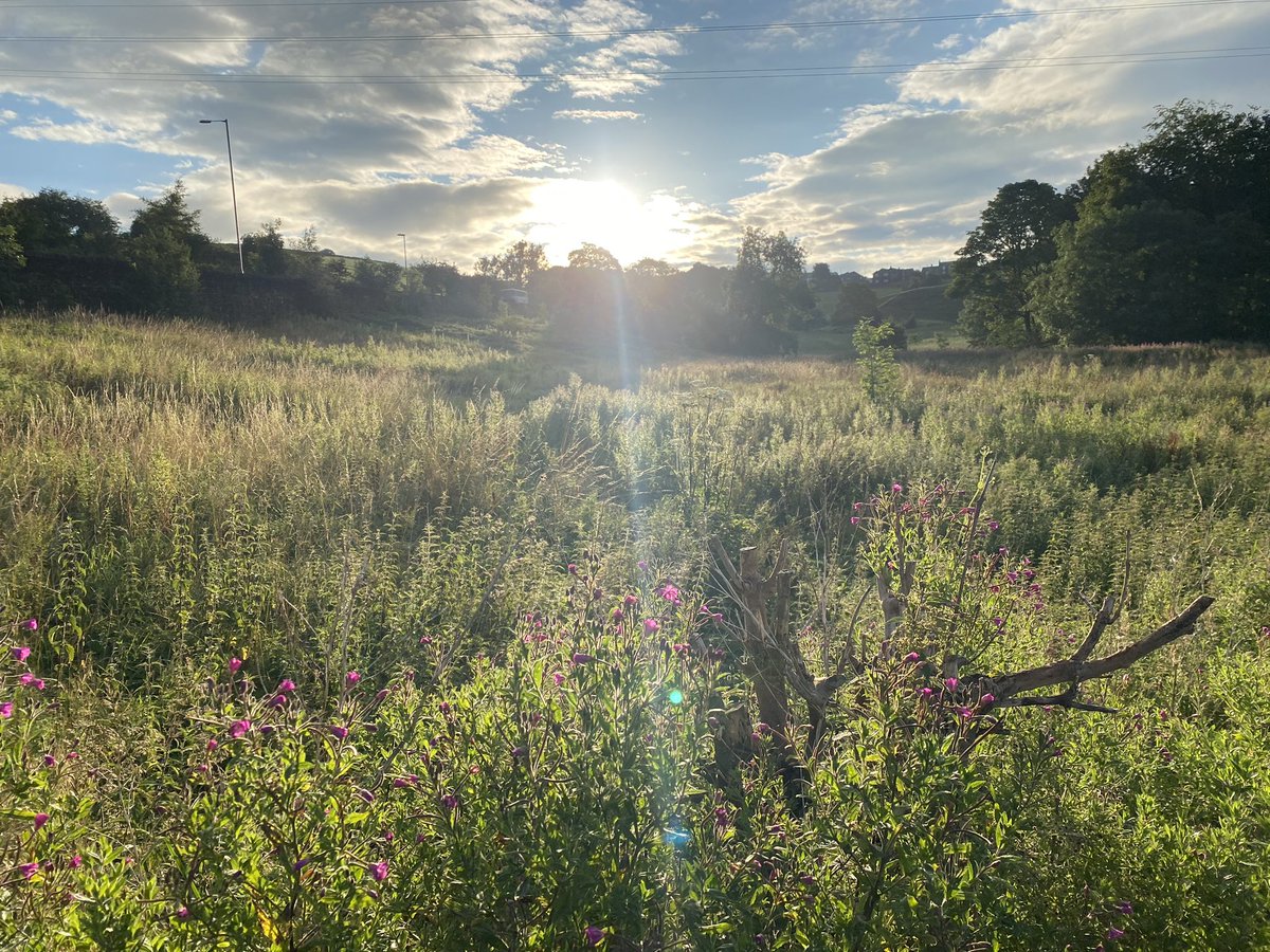 andyb066's tweet photo. What be this bright light in the sky @runningpunks Feels like the first time me and the beastie boy have stayed dry for months @BipolarUK #poletopolechallenge @SOBScharity #stepwithsobs #runningpunks #runningpunk https://t.co/ofE9O5i8z4