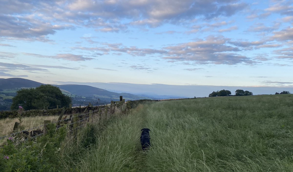 andyb066's tweet photo. What be this bright light in the sky @runningpunks Feels like the first time me and the beastie boy have stayed dry for months @BipolarUK #poletopolechallenge @SOBScharity #stepwithsobs #runningpunks #runningpunk https://t.co/ofE9O5i8z4
