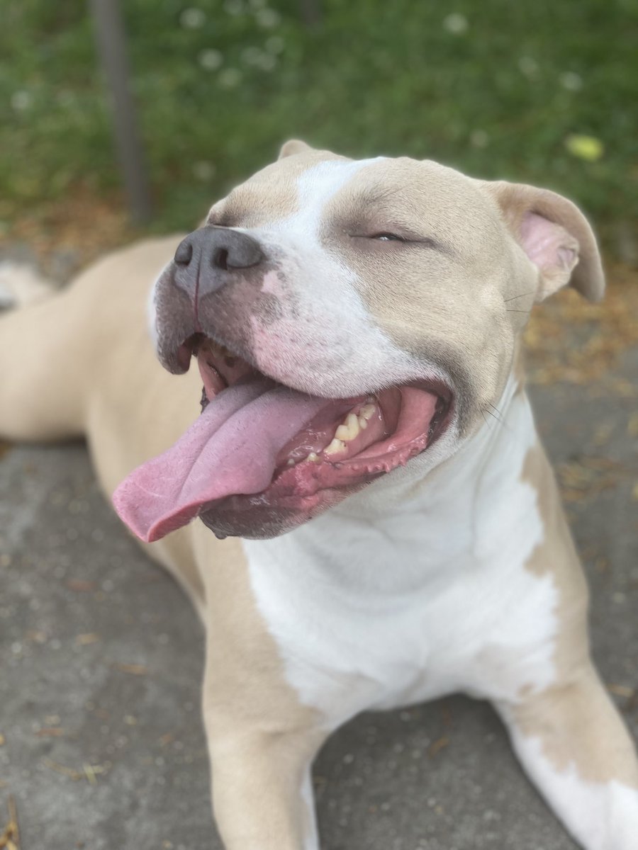 We love summer time 😊🙌✨
#luna 💕