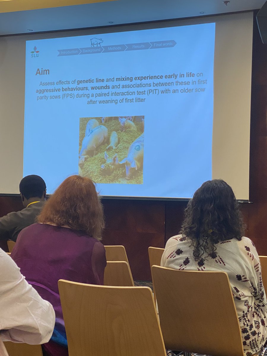 Maria Vilain Rørvang tweet media