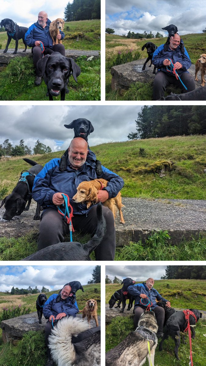 My dad was initially hesitant about getting a puppy, wondering if he was too old and fit enough to keep up. But my mum surprised him with TWO instead of one, and now I've never seen him happier! 🐾❤️ #PuppyLove #Dogsoftwitter #Dogs #Dog