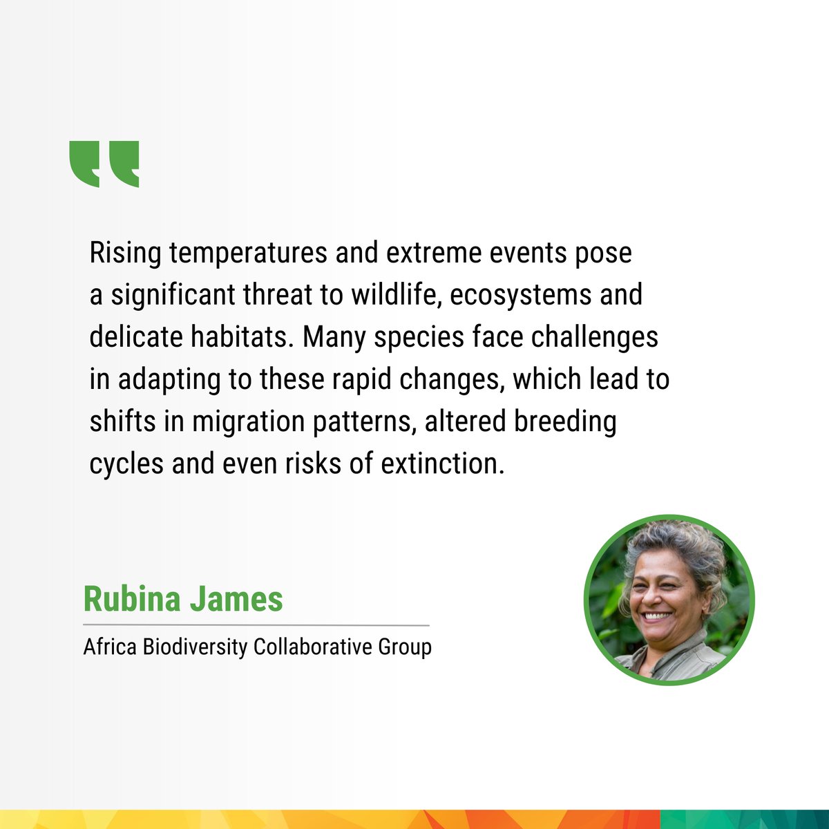 #Climatechange #adaptation efforts must prioritise the preservation of #biodiversity and the protection of critical #ecosystems, ensuring a sustainable environment for future generations.