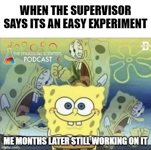 The Struggling Scientists tweet media