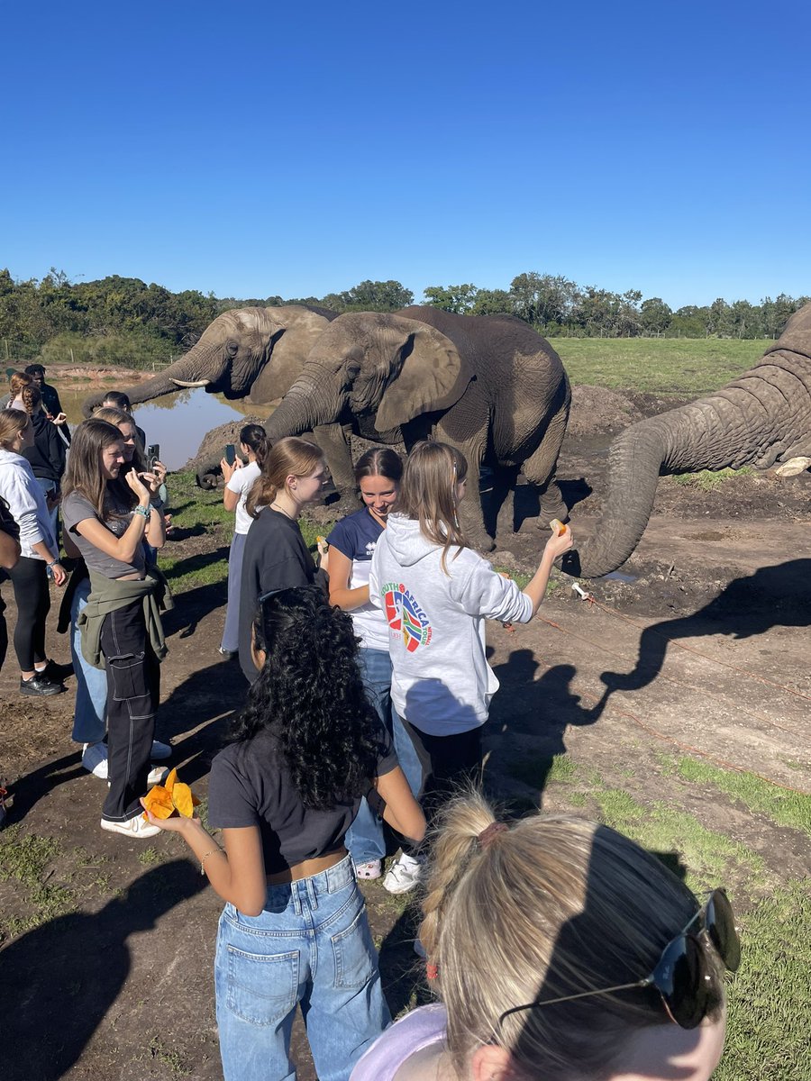 Yesterday morning @lehschoolofficial netballers were very lucky to visit an elephant sanctuary which takes in orphaned elephants. It was an amazing and memorable experience for all 😊😊🐘🐘🐘 #SouthAfrica #tour #funtimes #makingmemories