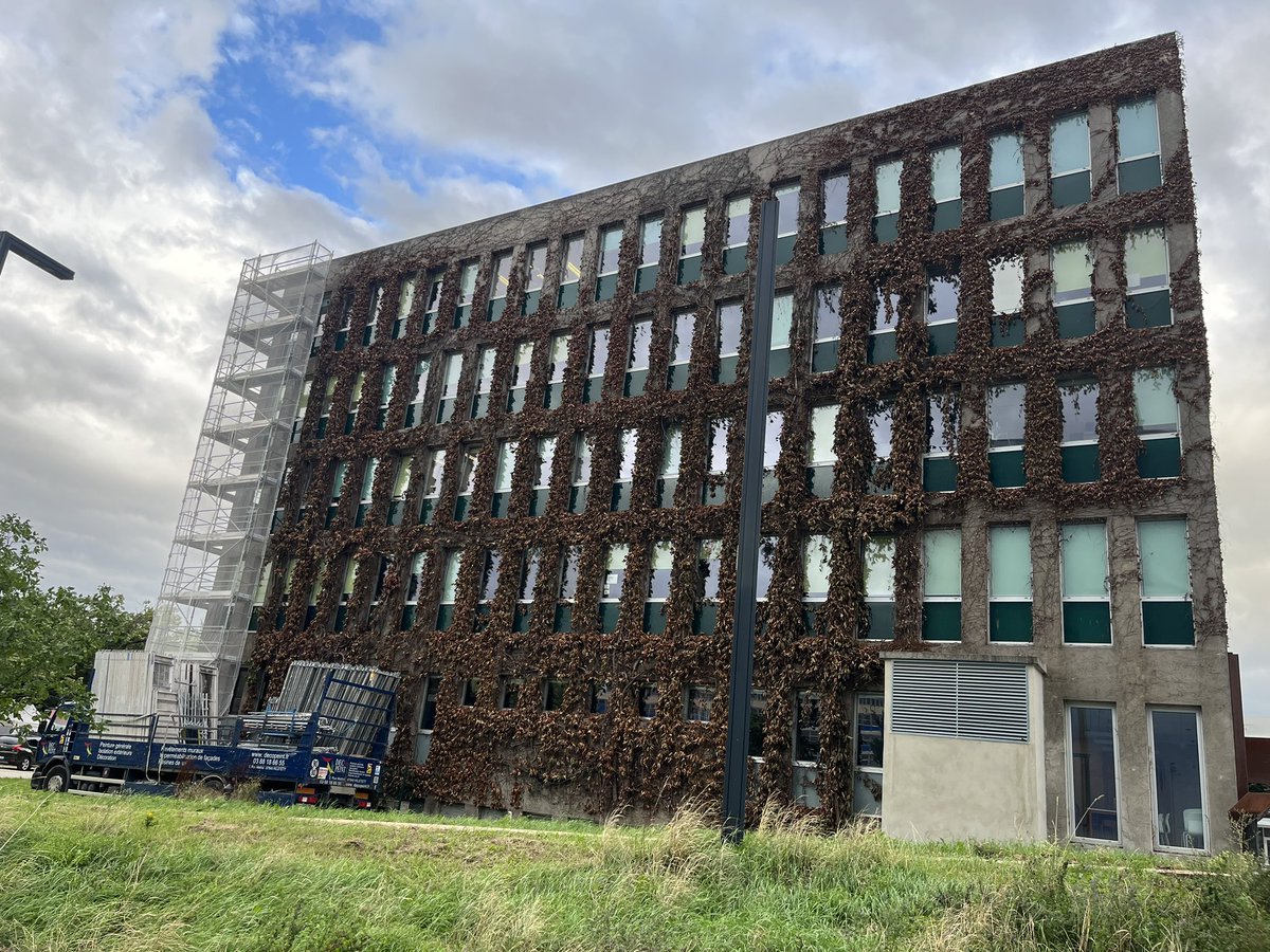 IBMC Strasbourg
How it was and how it is 😢
So sad for our natural heat protection
#protectnature