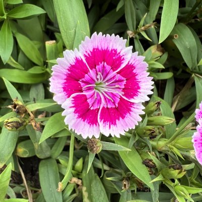 wans779's tweet photo. #NewProfilePic https://t.co/cNkBMnRkNs