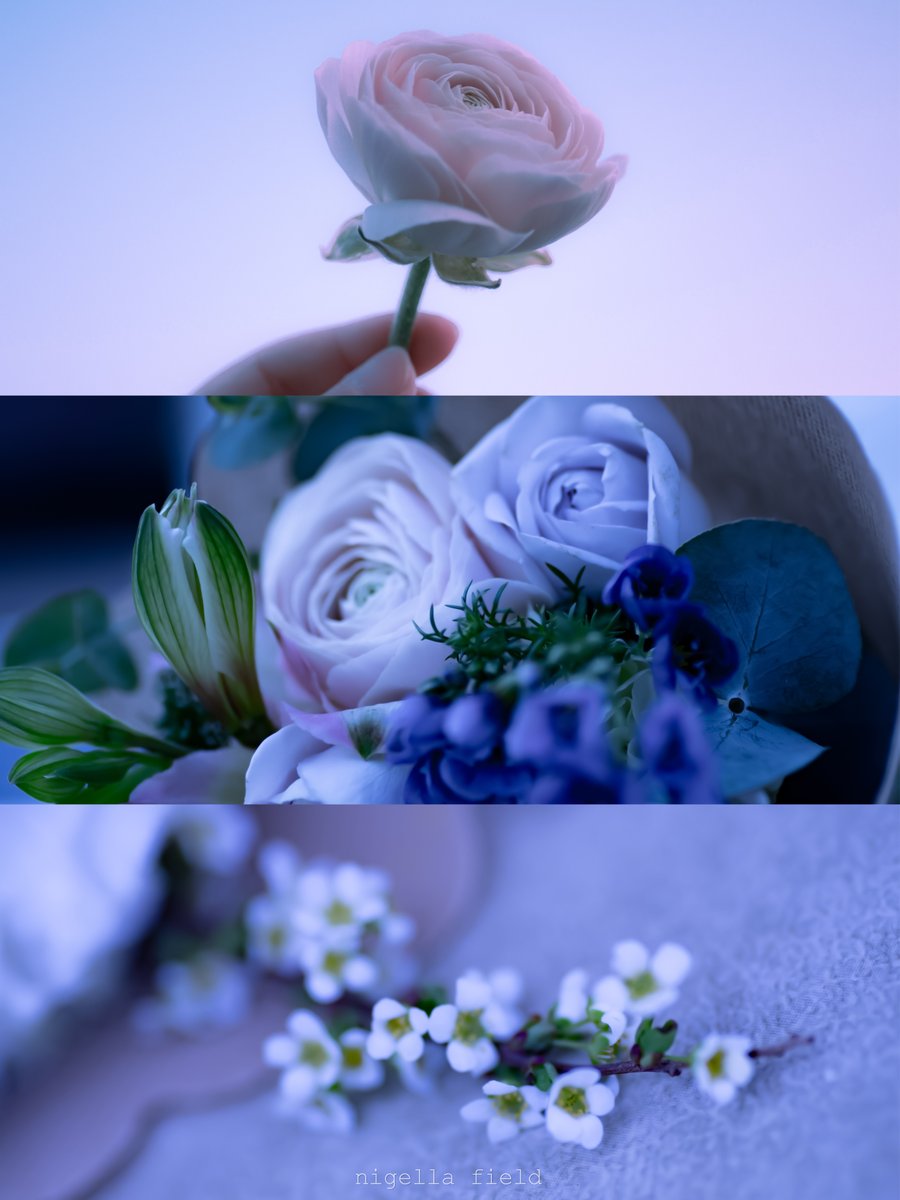 花が語り継ぐ前世の記憶