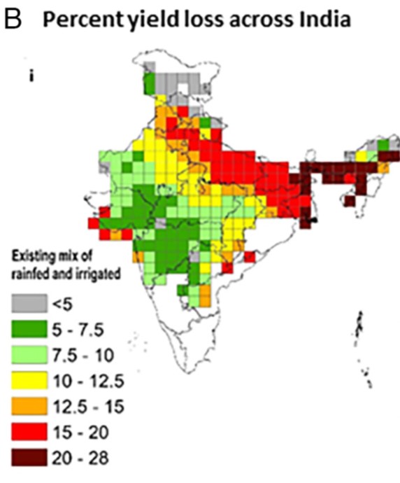 lisa emberson tweet media