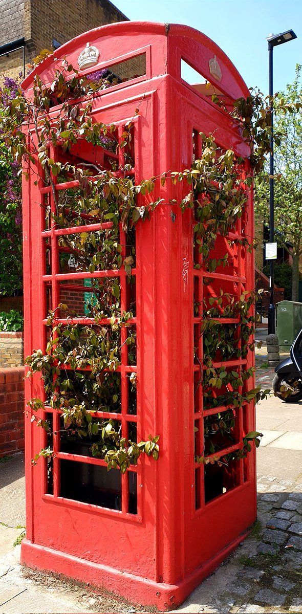 bullringbash tweet media