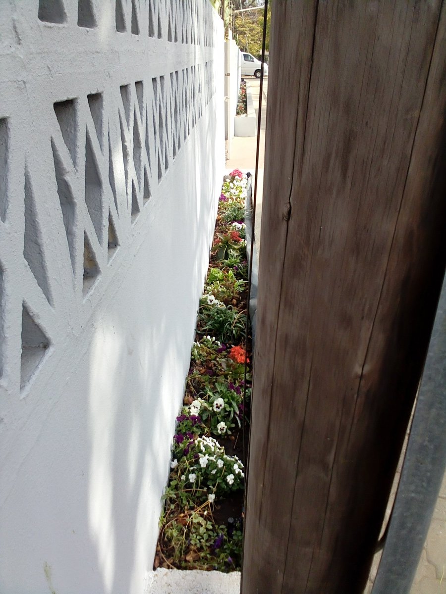 Beautiful morning # landscaping