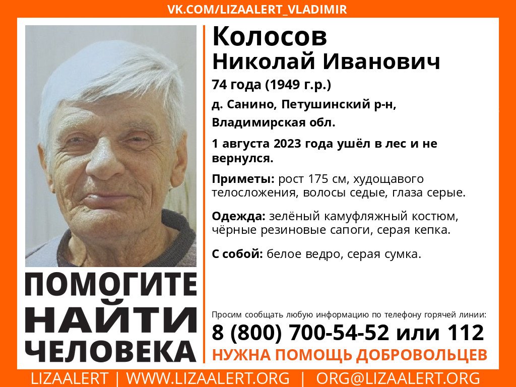 LizaAlert_Vladimir tweet media