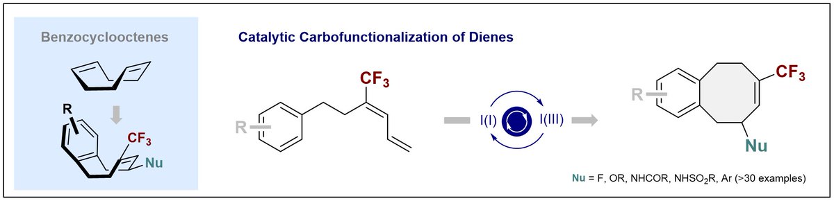 Congratulations to @youjie_yu, Joel, Zi-Xuan and @GDaniliuc on publication of their I(I)/I(III)-catalyzed diene carbofunctionalization to access medium rings in @angew_chem! Thanks to the @WWU_Muenster, @ERC_Research and @AvHStiftung for generous support! #openaccess #projektDEAL