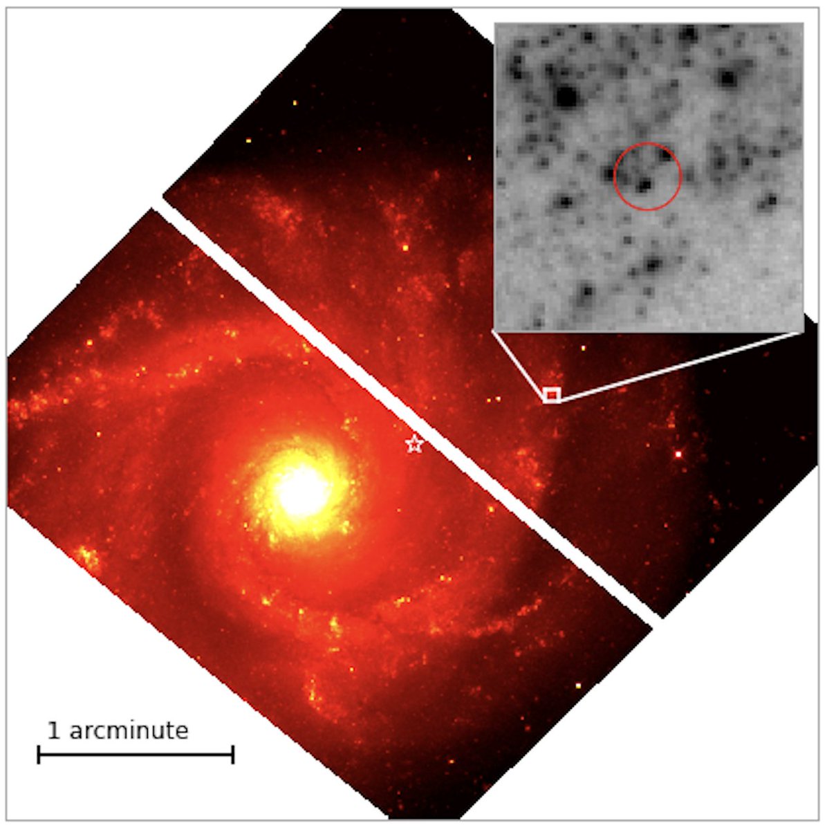 Tim Roberts tweet media