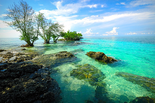 Turquoise Water, Panikian Island, The Philippines #TurquoiseWater #PanikianIsland #ThePhilippines elisedixon.com
