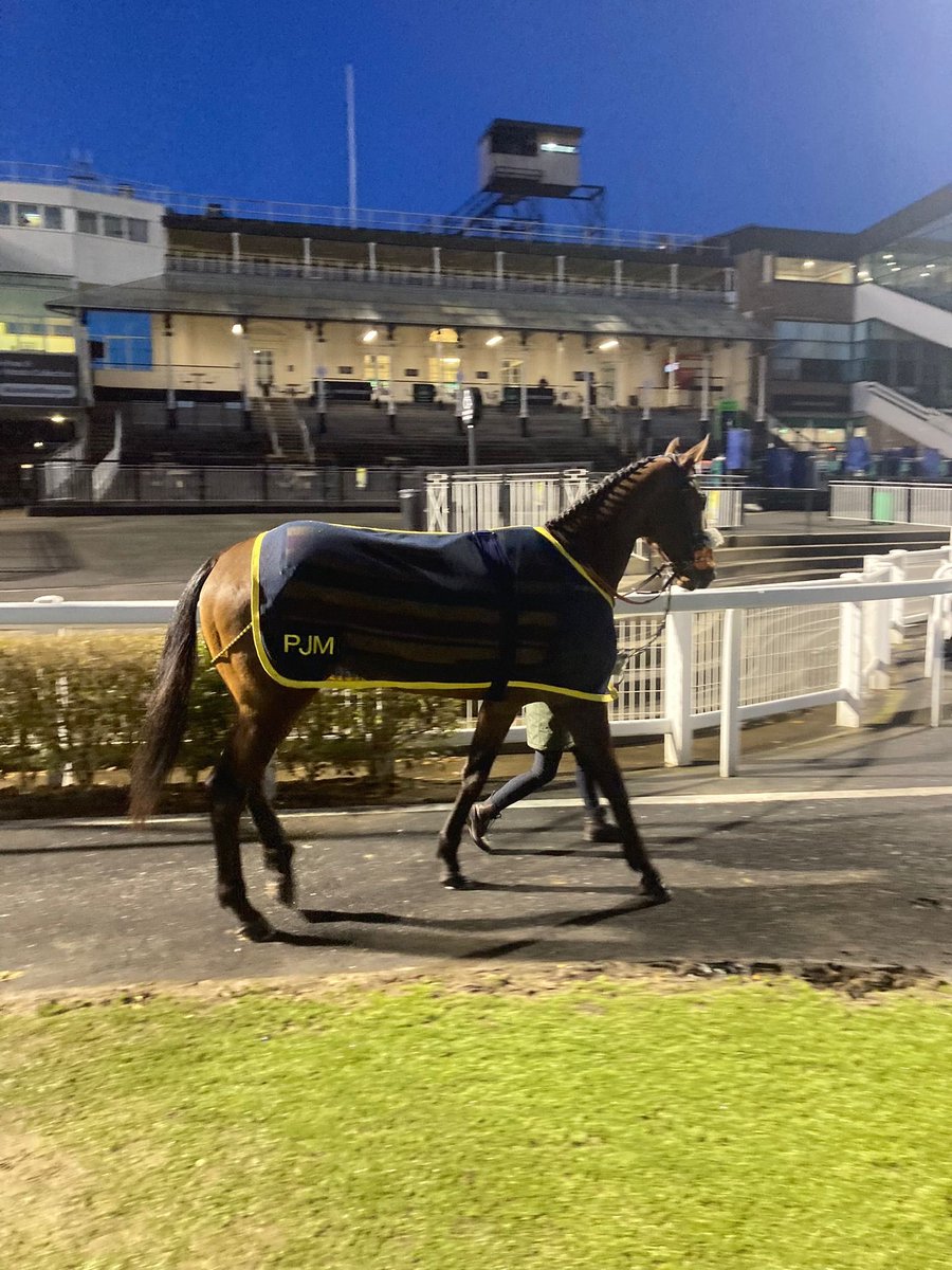 🏇Runner 03/08/2023🏇 Horse: Petite Sioux Trainer: @phil_makin_ Jockey: Brandon Wilkie Time: 16:56 at @NewcastleRaces Good luck to connections. #ownaracehorse #racehorseownership #racehorseowners