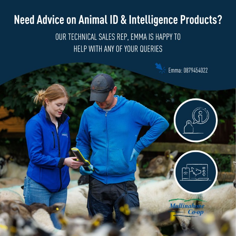 MullinahoneCoop's tweet photo. Need advice on our Animal ID &amp; Intelligence products? 👩‍🌾👨‍🌾

Emma, our Technical Sales Rep, is happy to help with any queries. 😊

You can contact Emma on 087 945 4022 📞

#MullinahoneCoop #Tags #AnimalID #AgTech https://t.co/g708jTz5t8
