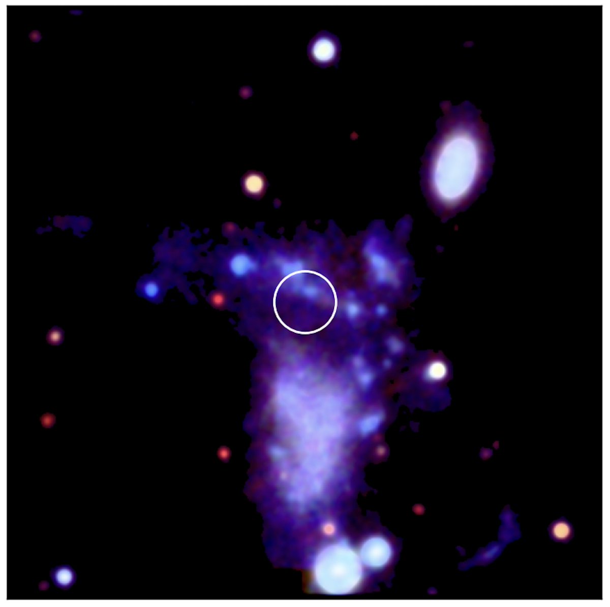 Tim Roberts tweet media