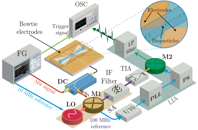 The #SCRAMBLE project is thrilled to share the publication of a new paper on microwave interaction with microorganisms using microfluidics led by <a href="/cespalacios/">César Palacios</a>, <a href="/JofreMarc/">Marc Jofre</a>, J. Romeu &amp; <a href="/JofreLluis/">Lluis Jofre</a> at <a href="/la_UPC/">Universitat Politècnica de Catalunya (UPC)</a>: 10.1109/TIM.2023.3280521 <a href="/EEBE_UPC/">EEBE</a> <a href="/BiblioEEBE/">Biblioteca Campus Diagonal-Besòs. EEBE - UPC</a> <a href="/bibliotecnica/">Biblioteques UPC</a>