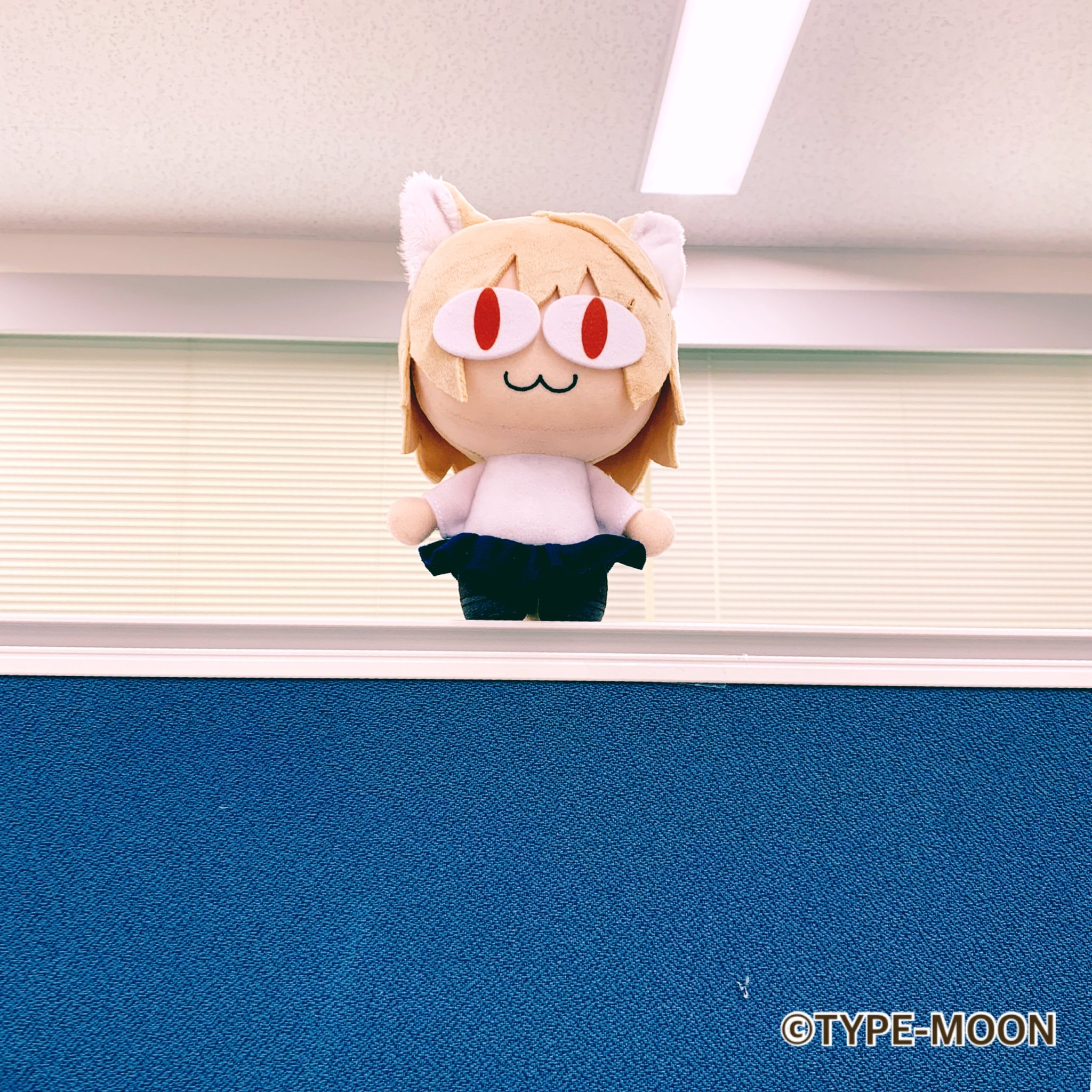 月姫 AGF 限定 ぬいぐるみ ネコアルク