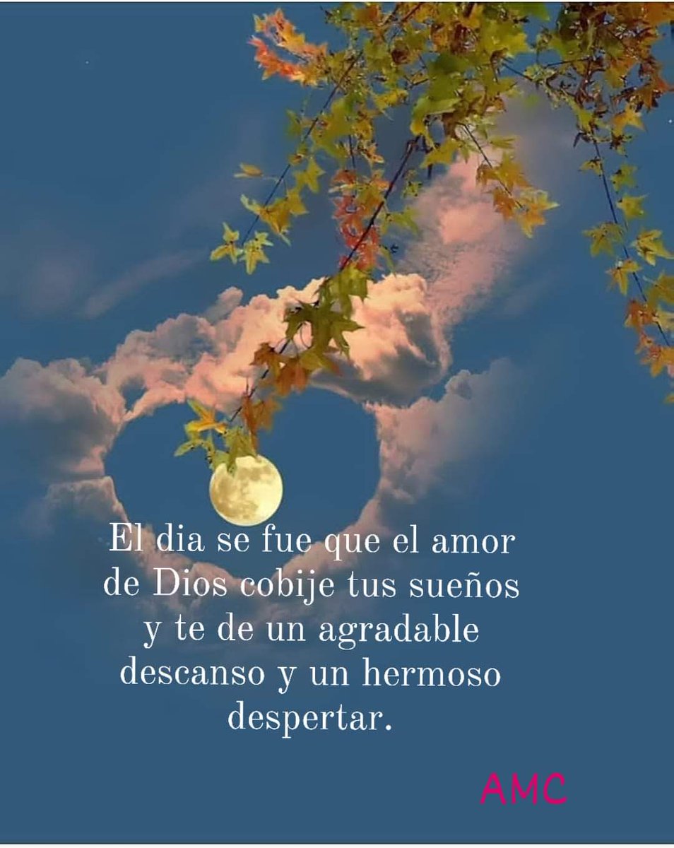 Buen descanso 😴💫💫