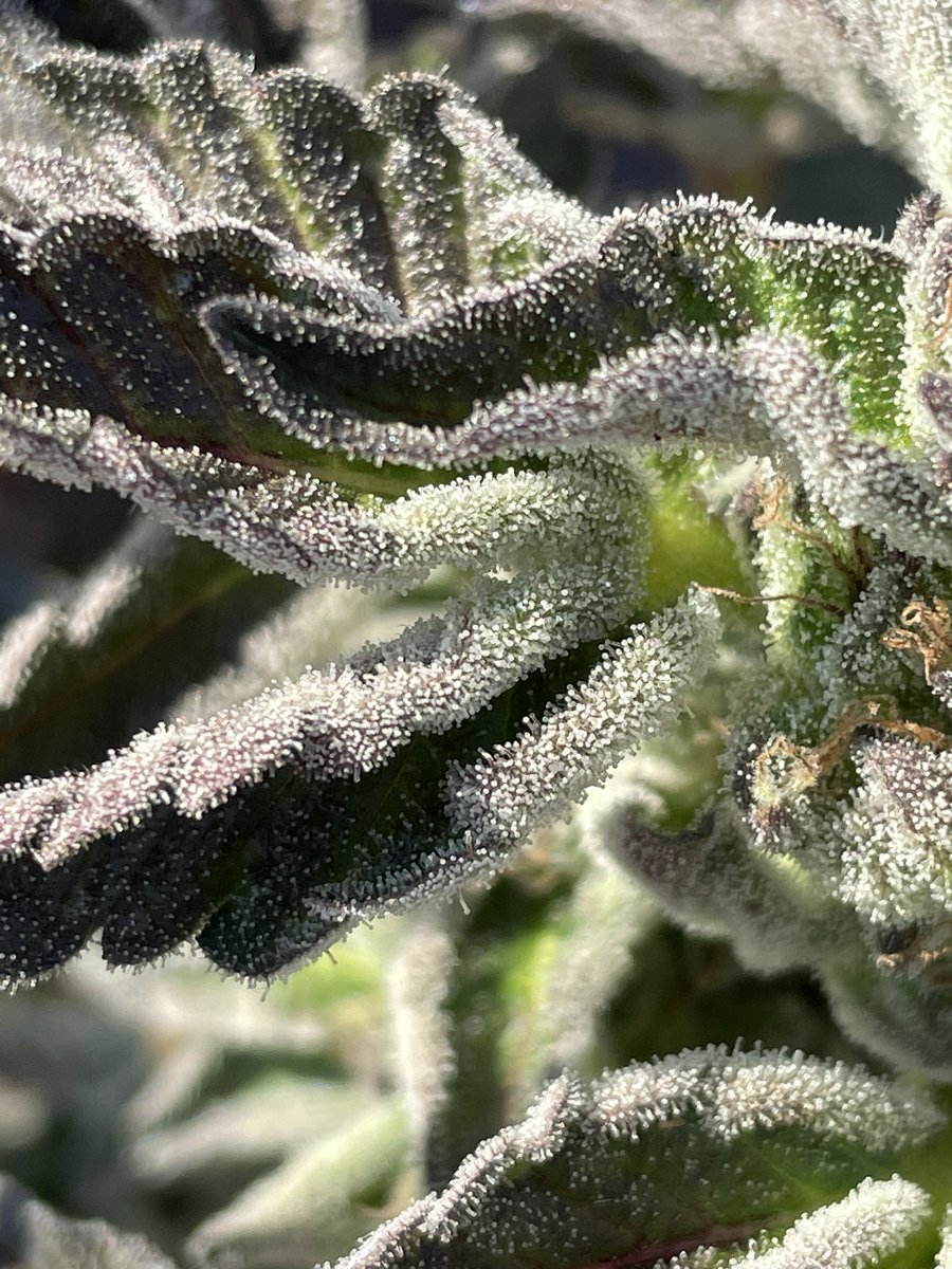 How do I get seen on this junk platform?