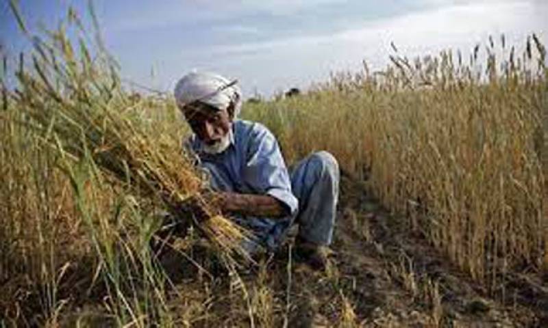The_Nation's tweet image. Over 35,405 landless farmers provided interest-free loans under Kissan Package
nation.com.pk/02-Aug-2023/ov…
#landless #farmers #interestfree #loans #Kissanpackage