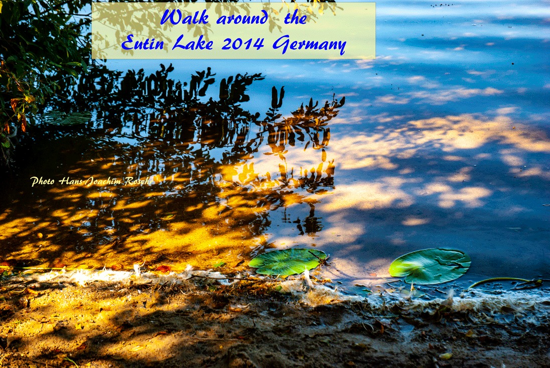 RosehrMarketing's tweet image. Walk around the #Eutin Lake #germany #pilgrimsway to Spain passes The Camino de Santiago is a famous pilgrimage route that traditionally begins in Saint-Jean-Pied-de-Port in France and ends at the Santiago de Compostela Cathedral in Spain. While there are many routes to choose