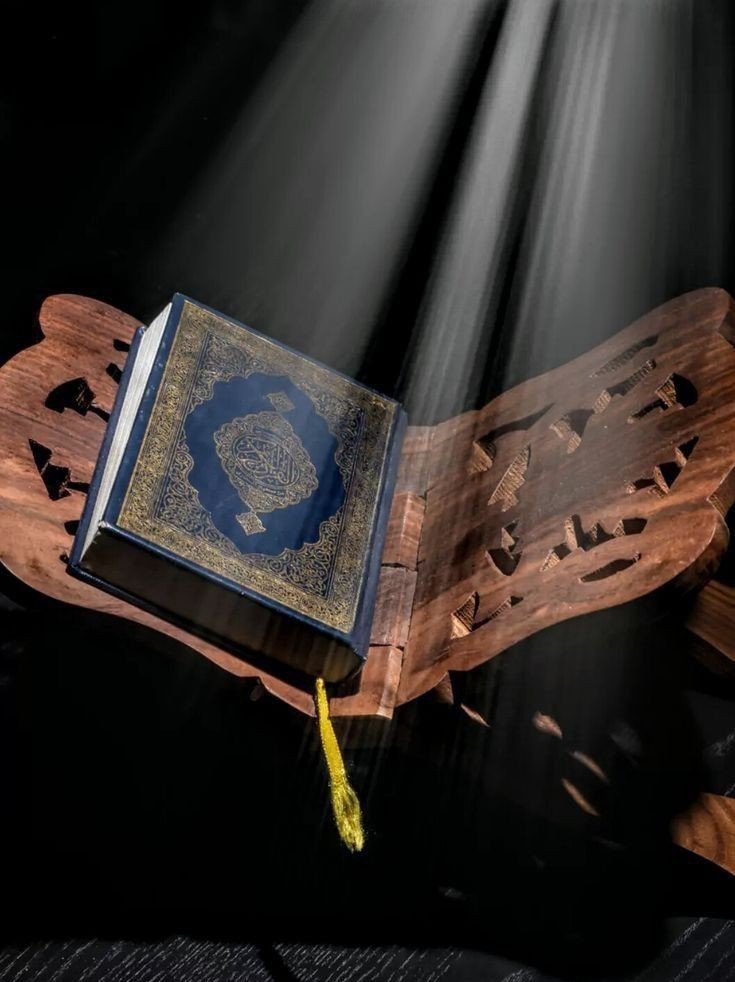 khan_labiya's tweet photo. ❣️Assalamu alaikum❣️

        👉दुनिया कि🌍
     📚सारी किताबों से📚
     📝बहेतरिन किताब📖
            💖कुरान हैं💝 https://t.co/qz3cEFvyFB