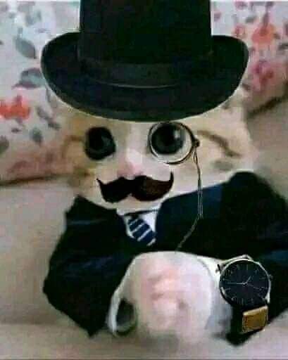 zarthyk's tweet photo. @BobicraftMC Opino que es un mal necesario. De igual manera si nos ponemos a pensar, realmente todo sigue igual. Ya que si, al principio será mas tedioso conseguir los aldeanos. Pero tarde o temprano tendrás ese trading hall súper cheto que rompe muchas mecánicas del juego jajaja https://t.co/v5xu8fzjfF