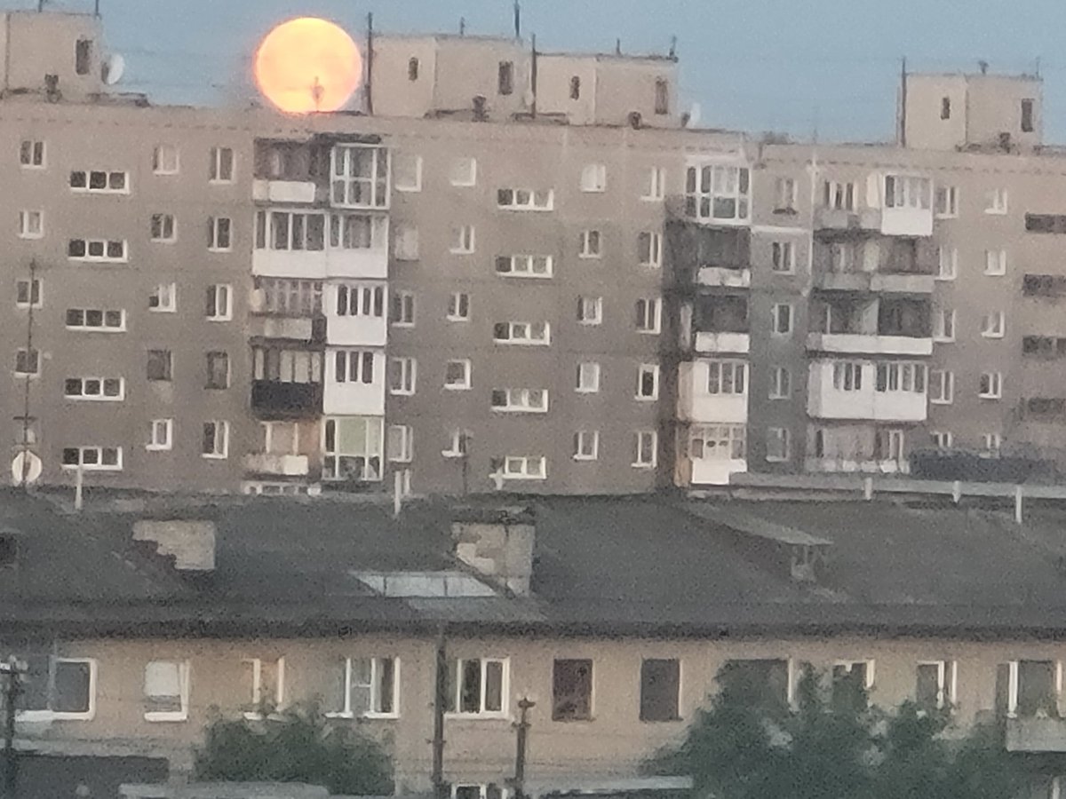 Тэфия tweet media