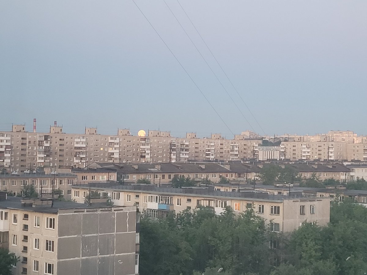 Тэфия tweet media