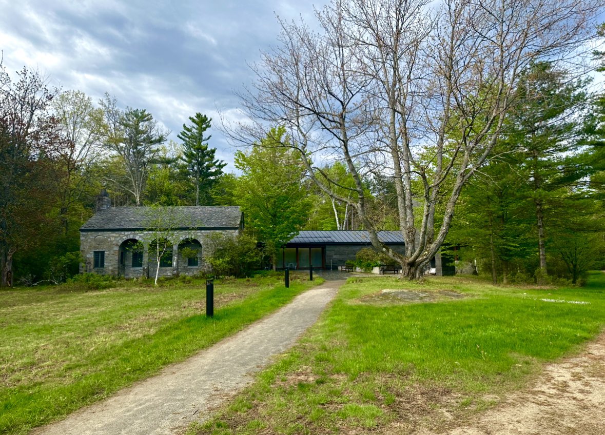 Raheleh Filsoofi راحله فیلسوفی tweet media