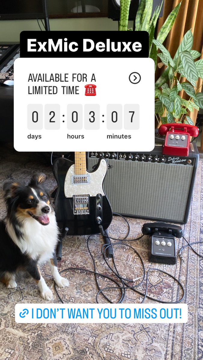 Recovery Effects tweet media