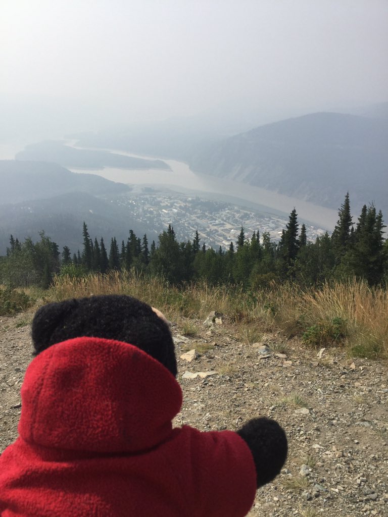 BestAlertBert's tweet image. Back where it all began...