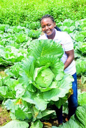 I believe in #powerOfYouth in Agriculture transitioning from poor production to enough production to feed the world. Do you? Cc: @AkezaGermaine