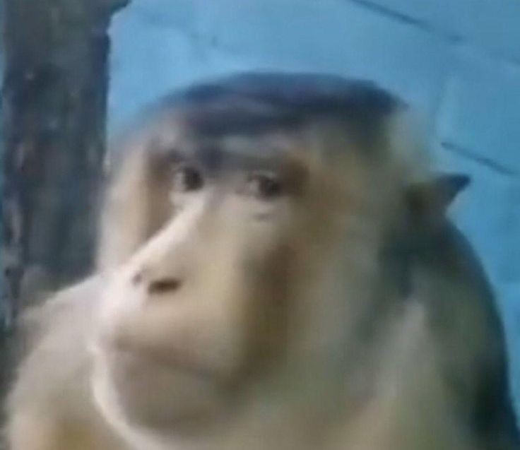 kagstones's tweet image. a veces me acuerdo que hubo un momento donde decian q las personas no les pertenecían y tuiteaban cosas sin decir MI tipo hablaban d su novio y decian novio dijo etc etc