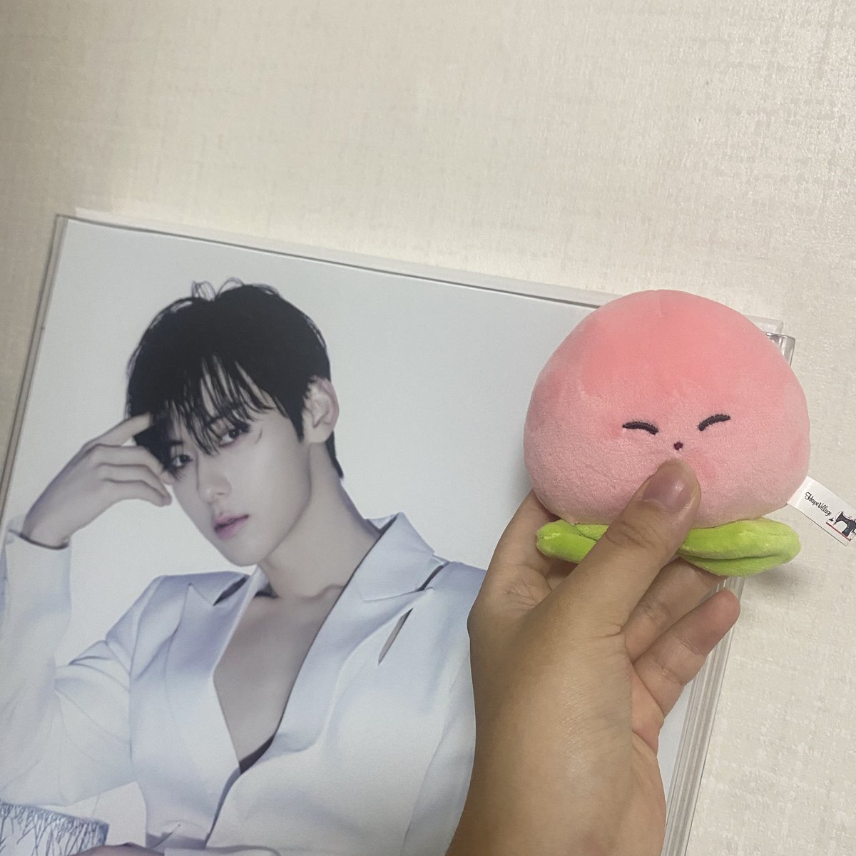 드디어 황피치 도착 🍑🧡
 
#황피치_황애옹과_함께_온리황도해