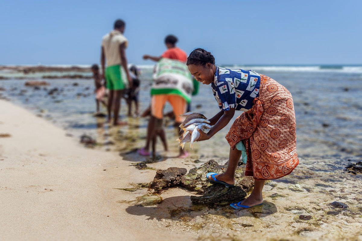 AECFAfrica's tweet photo. 📢 Exciting News! Today, we are thrilled to officially launch the Investing in Women in the Blue Economy in Kenya (IIW-BEK) Programme.

IIW-BEK is a five-year program funded by @GAC_Corporate and implemented by AECF. IIW-BEK will contribute to enhanced economic empowerment of women-owned enterprises, their suppliers, and producers along key supply chains where women are discriminated against in the blue economy in Kenya. Learn more about the programme via the link below #IIWBEK #WomenEmpowerment #BlueEconomyKenya https://t.co/Kdb5lq6jZF @CanHCKenya
