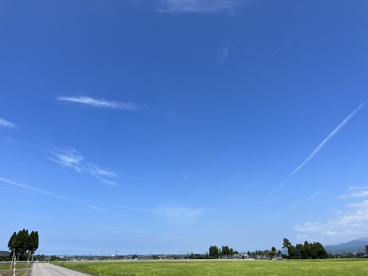 とらーにゃ tweet media