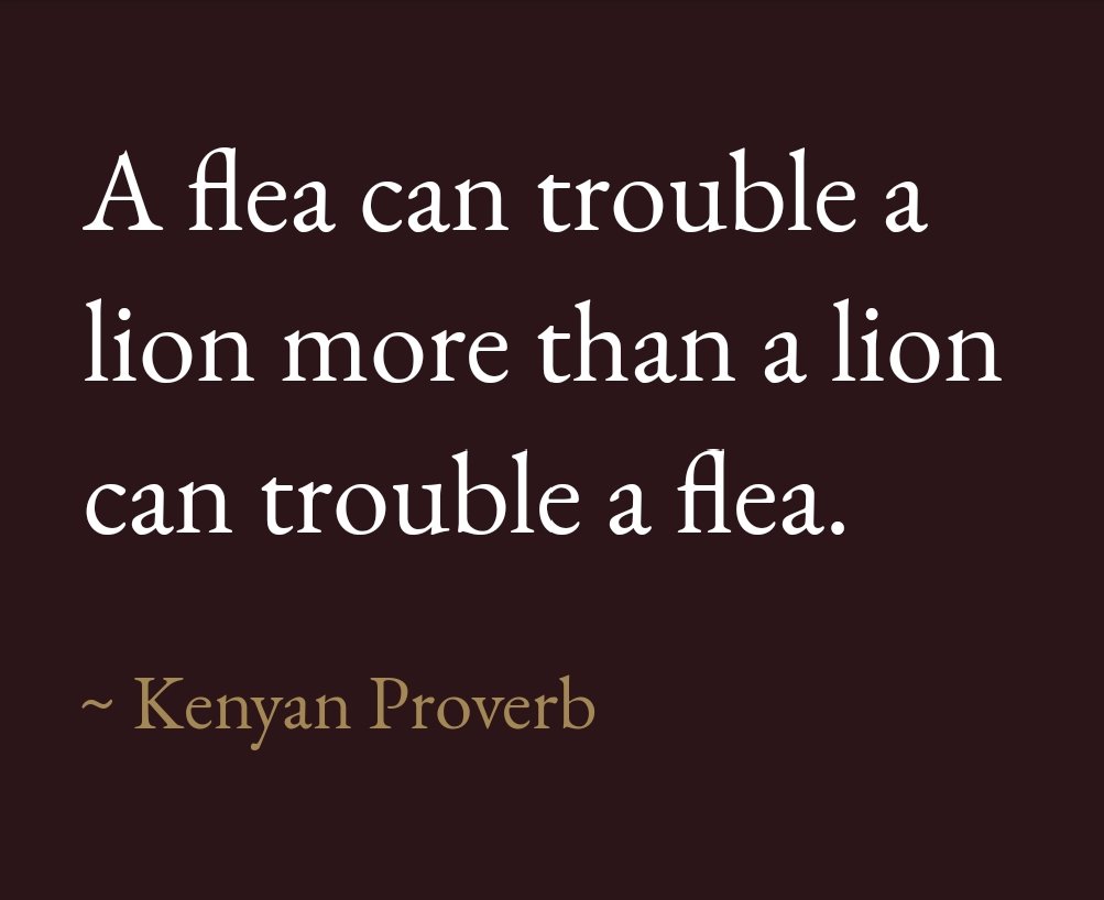 switchtvkenya's tweet photo. A flea can trouble a lion more than a lion can trouble a flea ~ Kenyan Proverb
#GoodMorning #ThursdayThough https://t.co/66PoLSOSqT