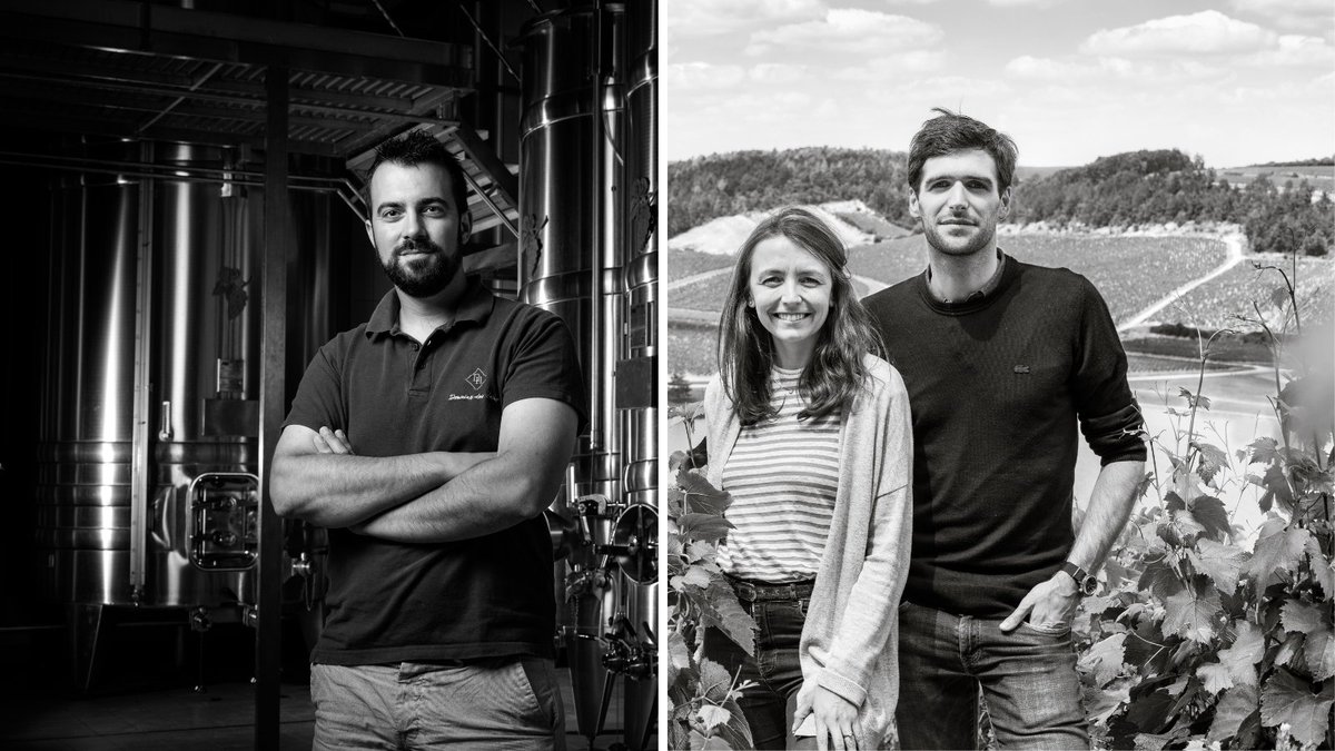 purechablis's tweet photo. 🗞️ Discover a new @WineSearcher article based on a series of interviews with the new generation of #Chablis producers. Thanks for reading! 👉 https://t.co/l6il06Ovzm
#domainedeshates #passyleclou https://t.co/csUbmyndKZ