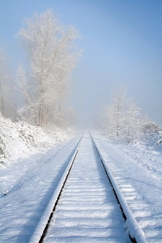 JasonAMyers's tweet photo. Snow Tracks, Ashland, Oregon #SnowTracks #Ashland #Oregon https://t.co/Jw4ZqzBIq4 https://t.co/aCUGIP87jN
