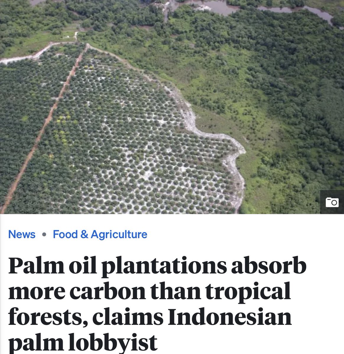 Speaking to an audience of farmers and Indigenous peoples, an executive for the Indonesian government's palm oil agency suggested that the crop is a more powerful carbon sink than the natural forests that it has replaced. Experts dismiss the claim as "goofy" and "criminally
