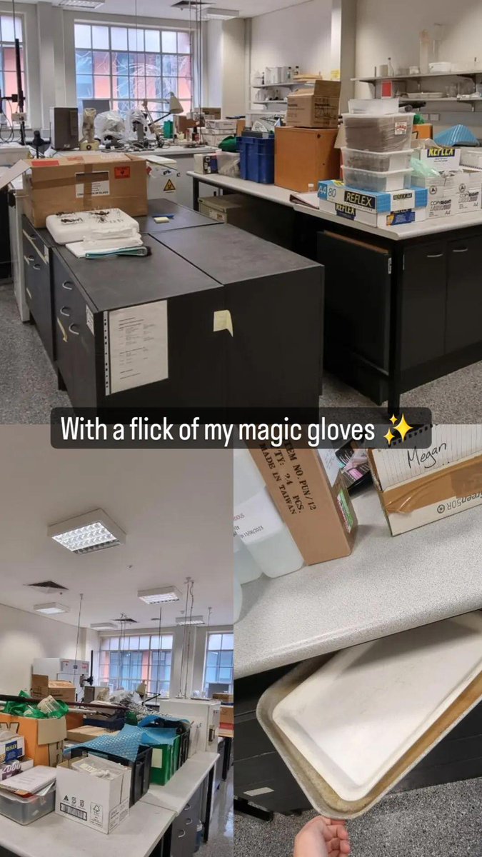 FolwellMegan's tweet photo. Day 1 of our wetlab revamp!! Amazing progress with 2x 660L being filled before lunch. Tomorrow we reorganise and stock ready for dissections and workshops ✨️
Thank you to my partner Myles, Laura from our lab group, @NTaewcharoen, and @Harrison_G_Kent for helping today! https://t.co/p7aLhurynP