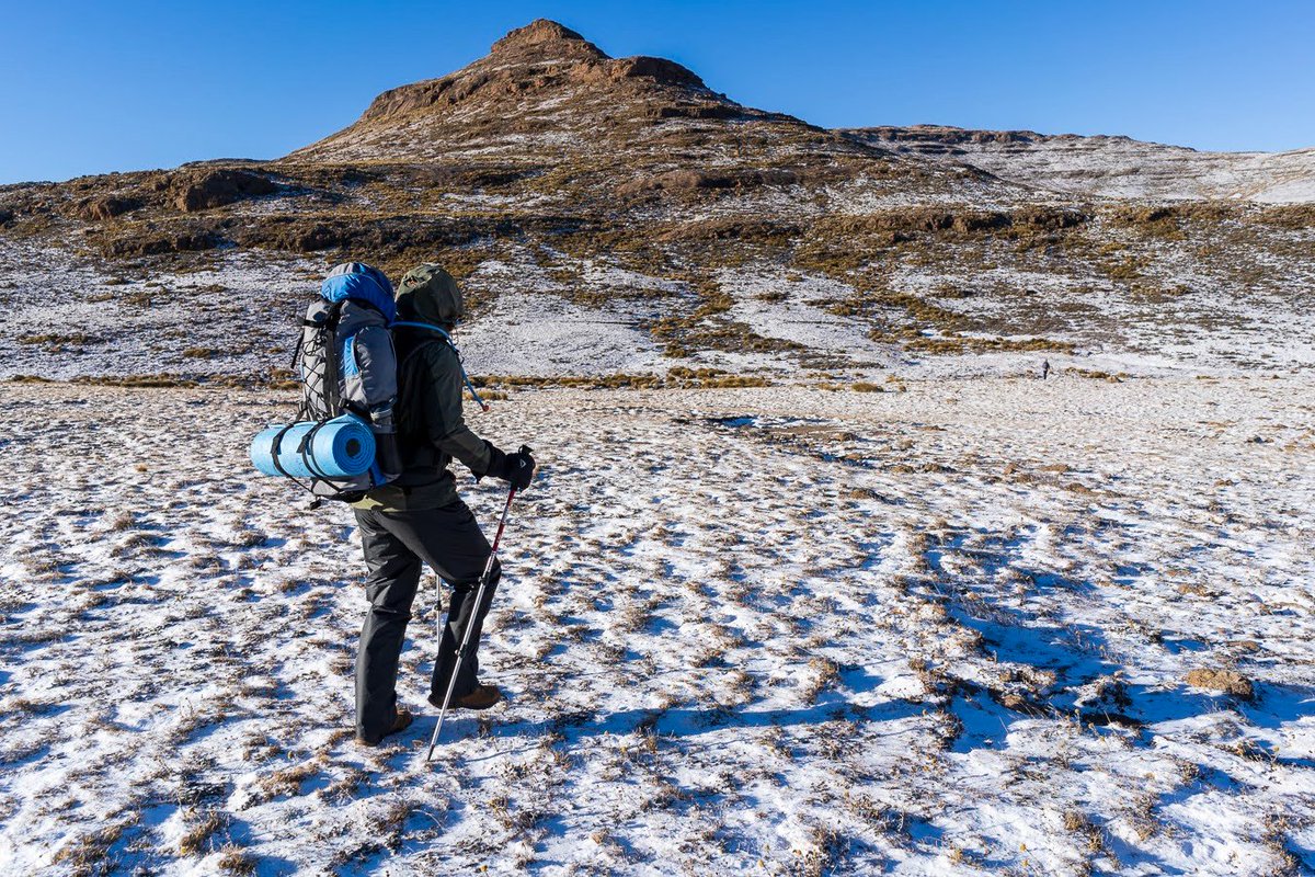 Timothy Will tweet media