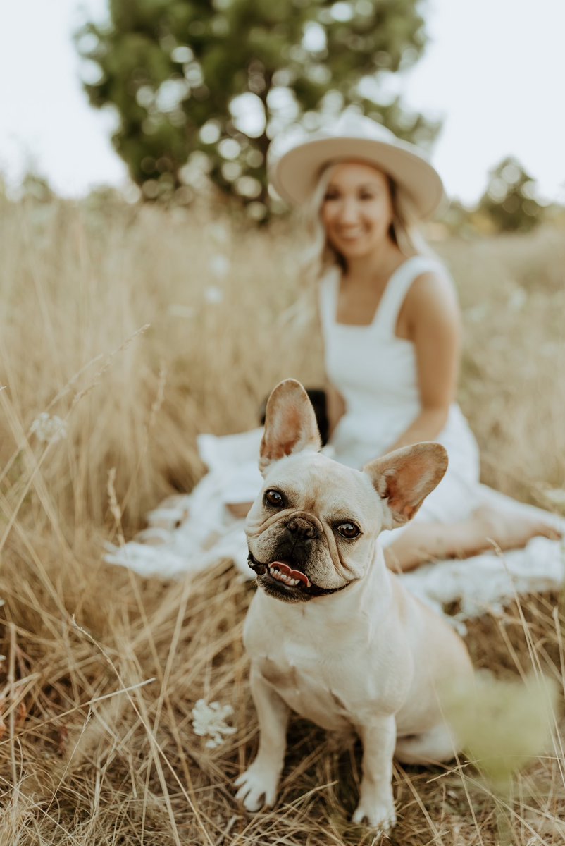 hvnofz's tweet photo. only came on here for cute dog pics ✨💛 https://t.co/9YlO8e5Qgs