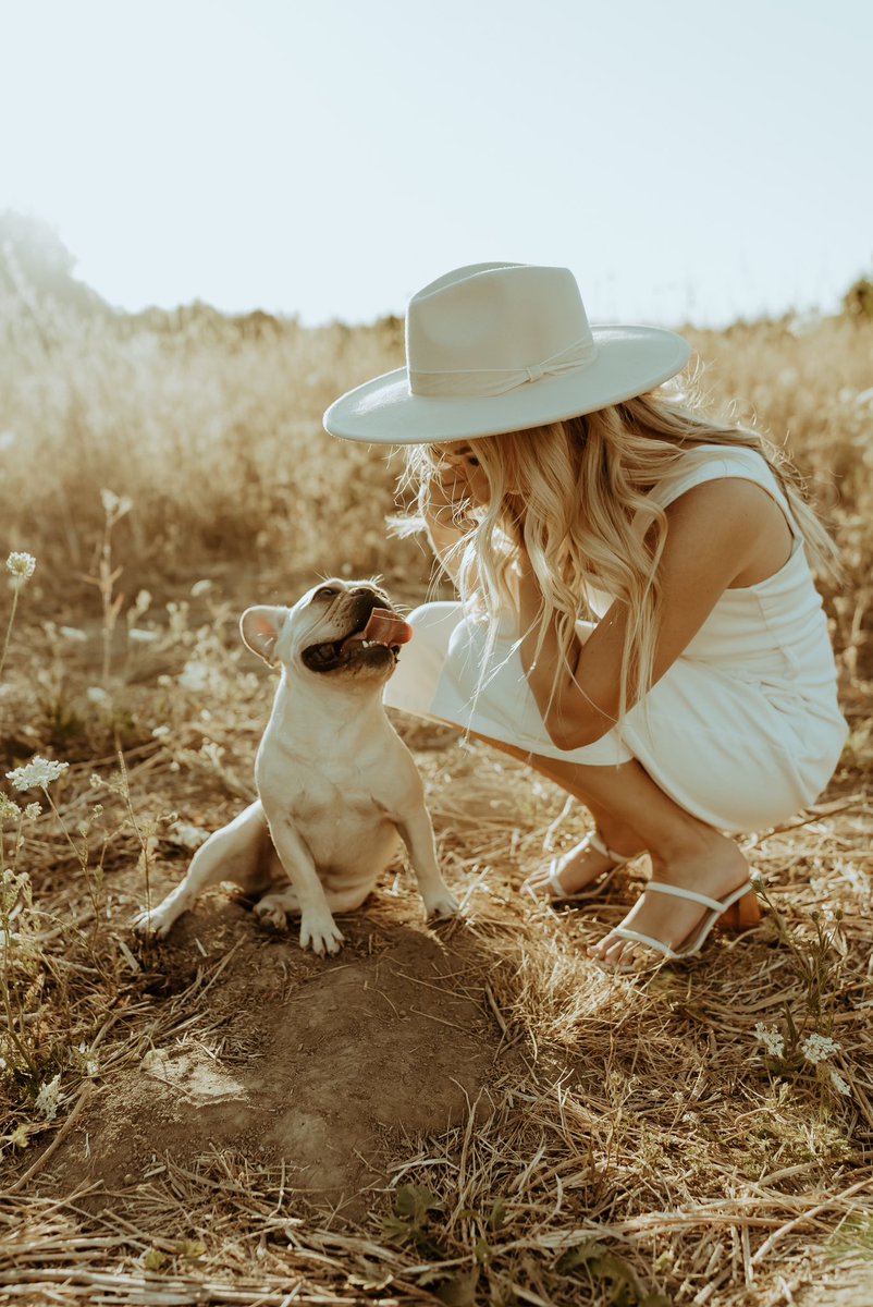 hvnofz's tweet photo. only came on here for cute dog pics ✨💛 https://t.co/9YlO8e5Qgs