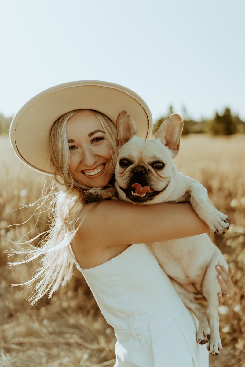 hvnofz's tweet photo. only came on here for cute dog pics ✨💛 https://t.co/9YlO8e5Qgs