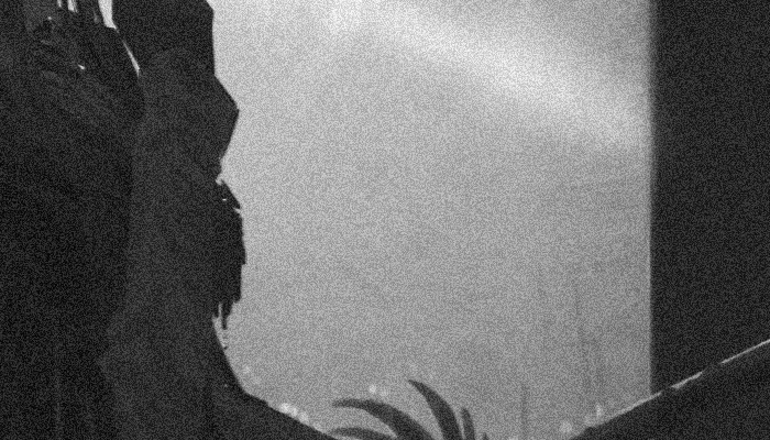 ረ .. . ʟᴜᴘᴏ sᴏʟɪᴛᴀʀɪᴏ . .. ነ tweet media